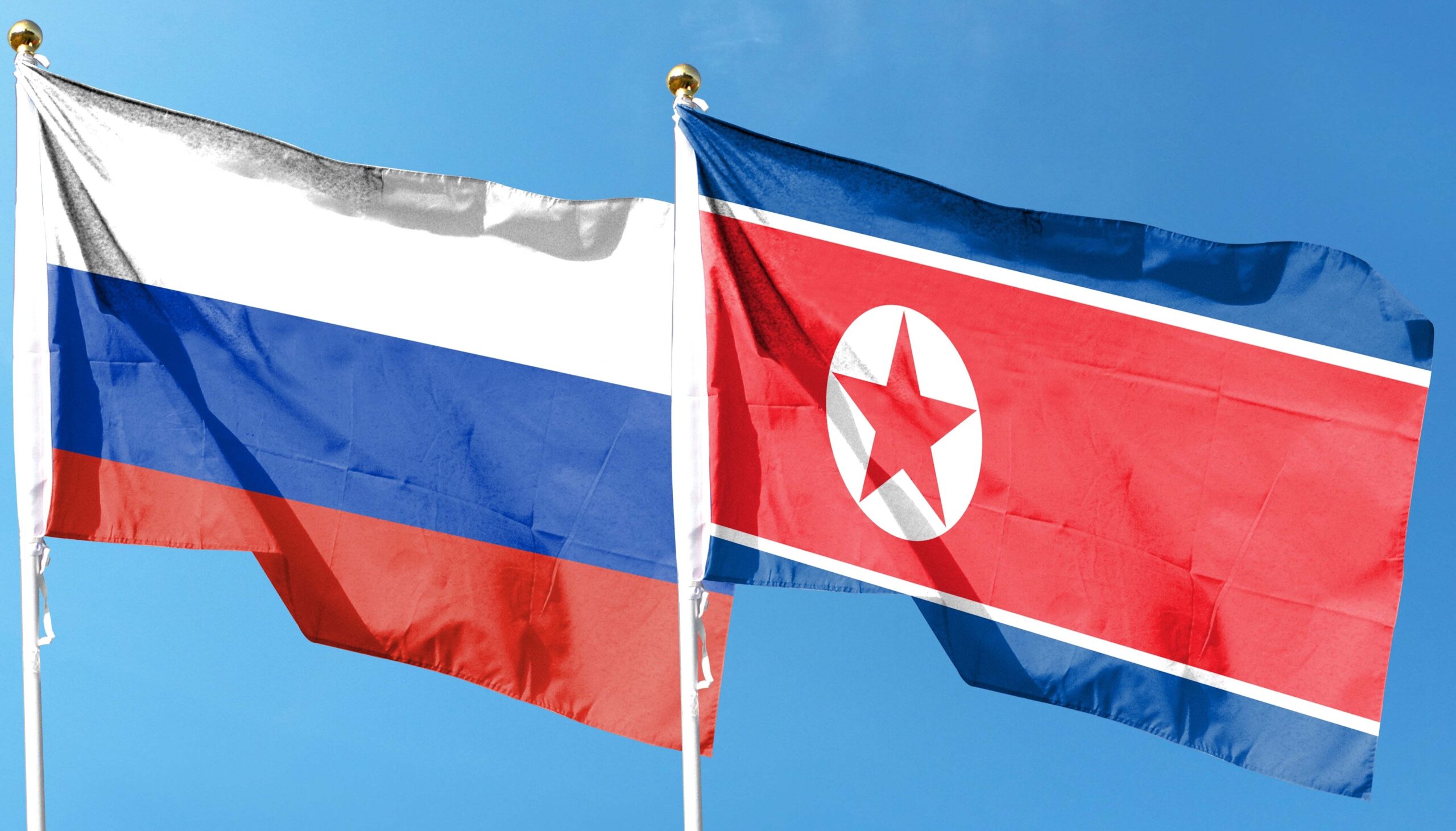 Flag of Russia Flag of South Korea , Russia transparent background