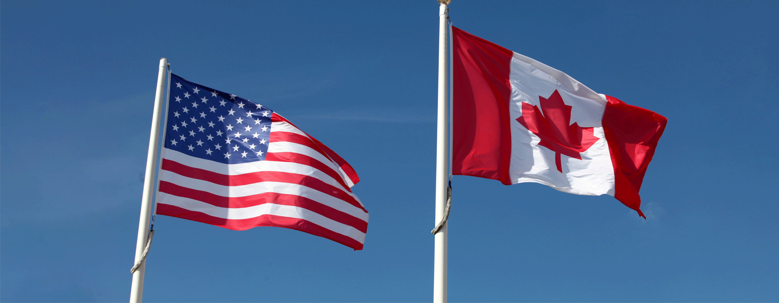 米国・カナダが暗号資産詐欺対策で連携、数億円規模を押収